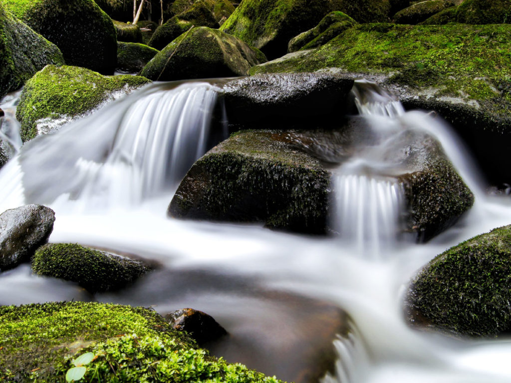 Eine Detailaufnahme der Saußbachklamm mit fließendem Wasser, Steinen und grasgrünem Moos.